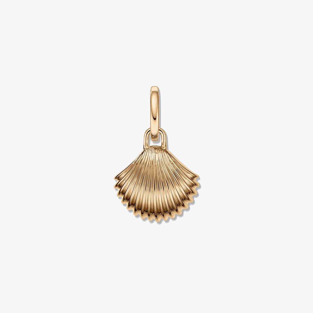 Pendentif coquillage doré en argent avec forme de éventail strié et finition polie sur fond blanc.