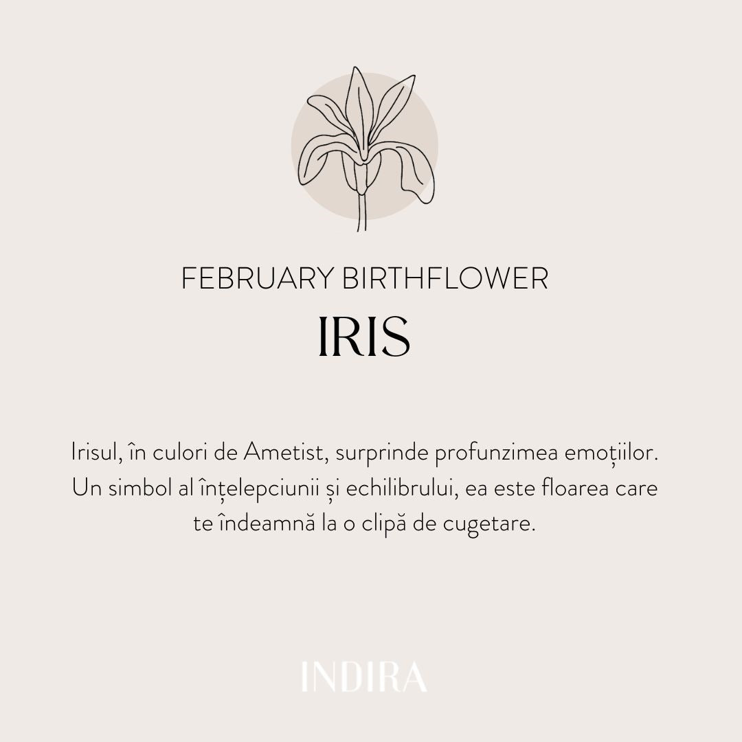 Bracelet en argent avec corde Golden Birth Flower - Février Iris - Indira