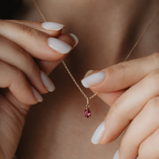 Collection Nouveautés