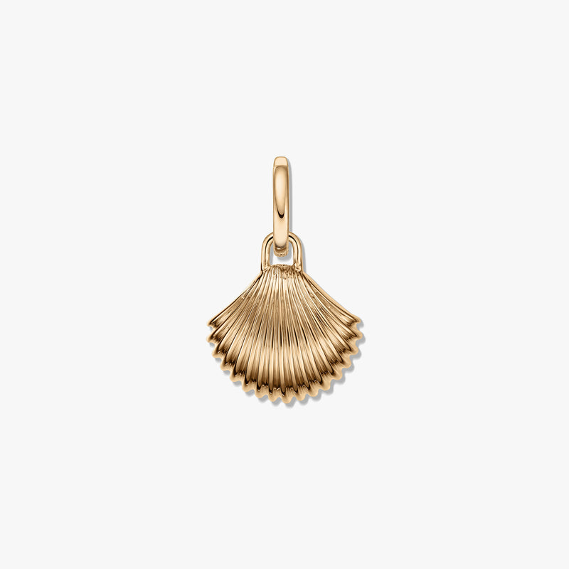 Pendentif coquillage doré en argent avec forme de éventail strié et finition polie sur fond blanc.