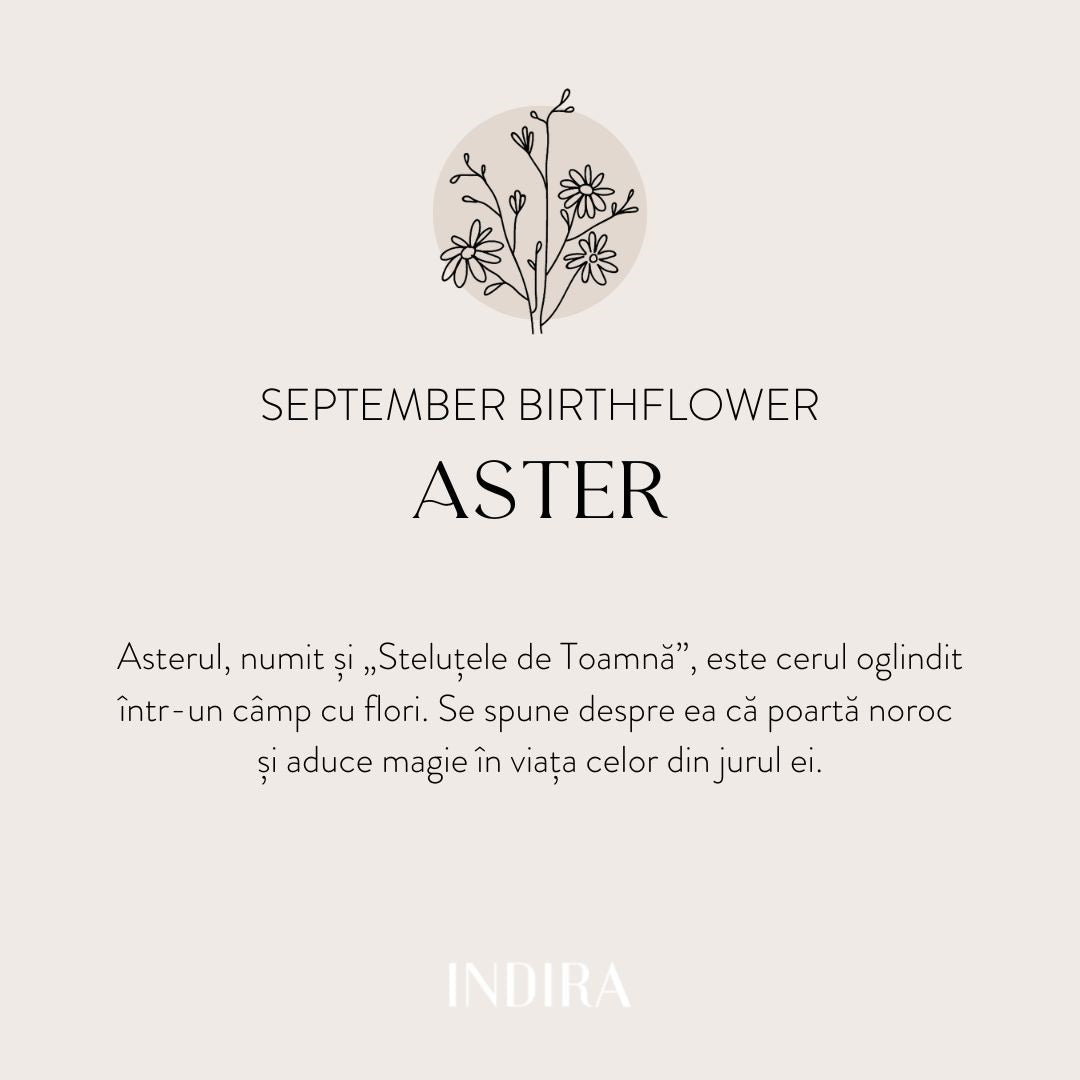 Fleur de Naissance en Argent - Bracelet Cordon Argent Aster de Septembre